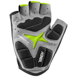 Biogel Rx-V2 Gloves
