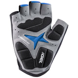 Biogel Rx-V2 Gloves