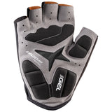 Biogel Rx-V2 Gloves