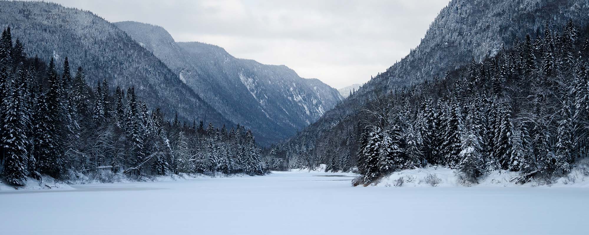 SUGOI Fall & Winter